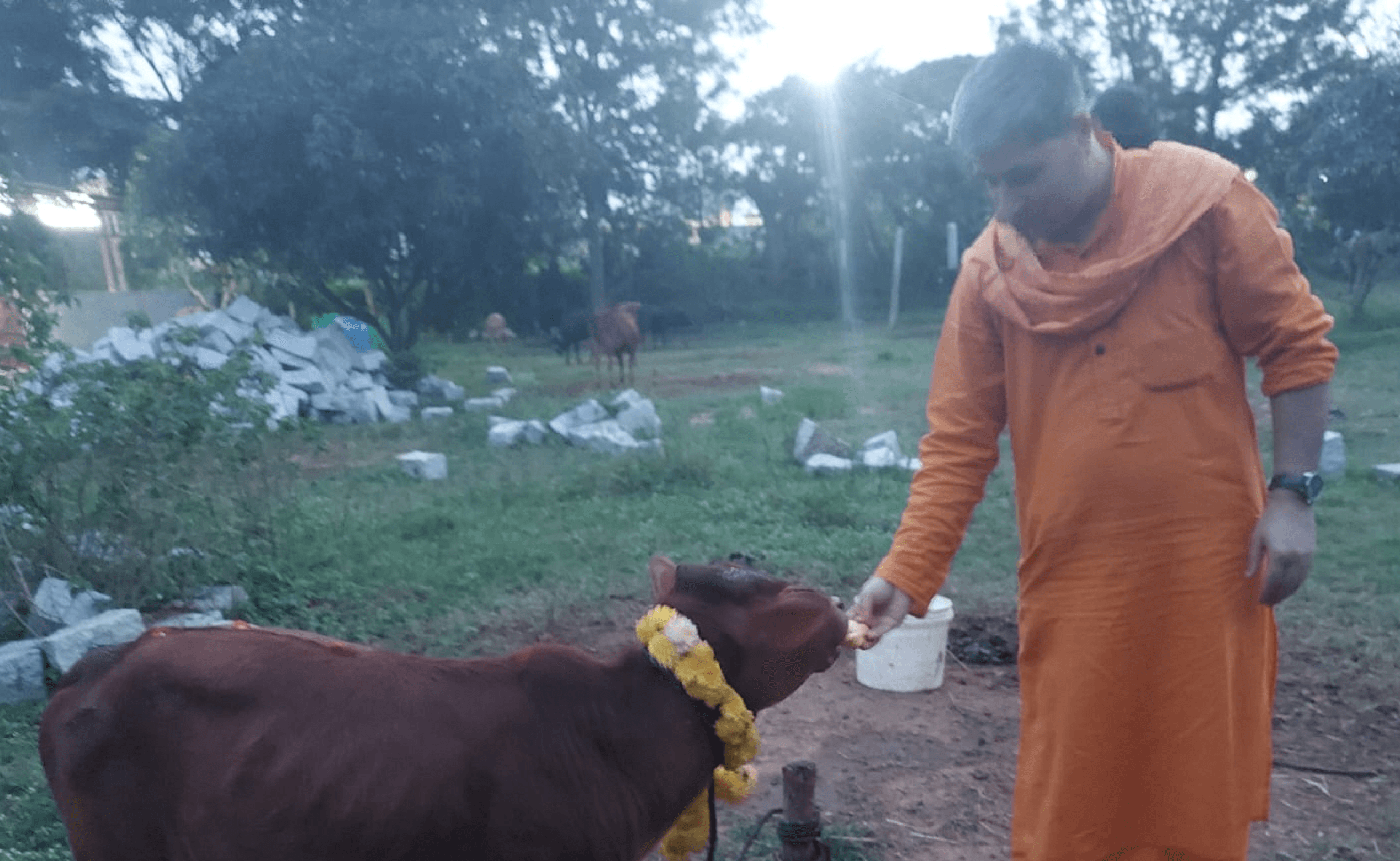 COW SEVA PROGRAM